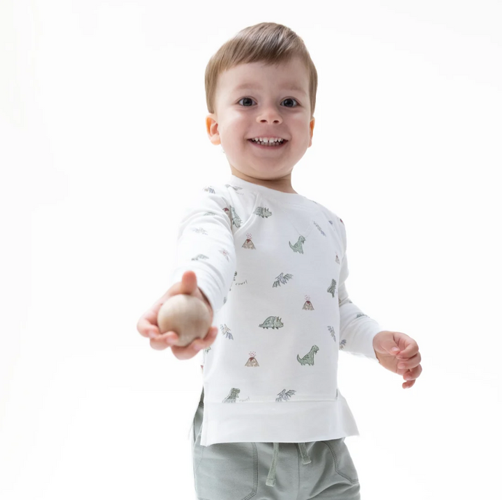 Dinos French Terry - Raglan Sweatshirt