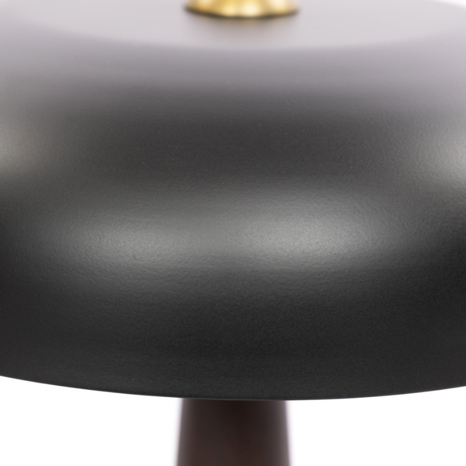 Tennon Table Lamp, Russet Mango