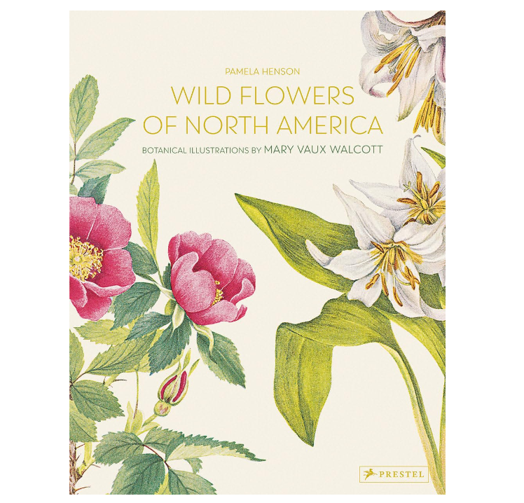Wild Flowers of North America: Botanical Illustrations by Mary Vaux Walcott - 13 Hub Lane   |  