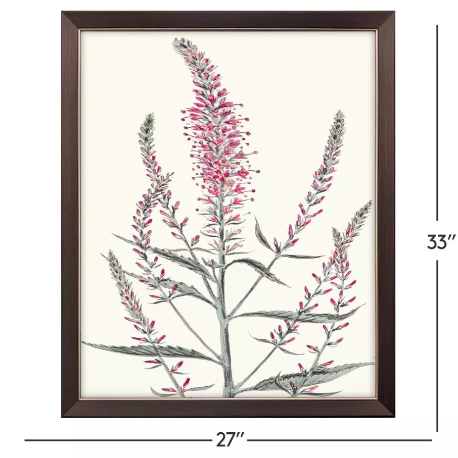 Pink Veronique I - 13 Hub Lane   |  