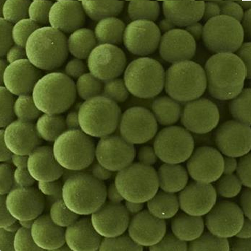 Pompom Ball Ornament, Green