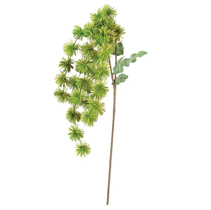 Botanica #3323
