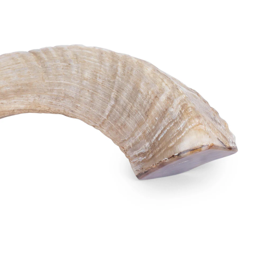 Ngala Trading Ram Horn - Thumbnail 4