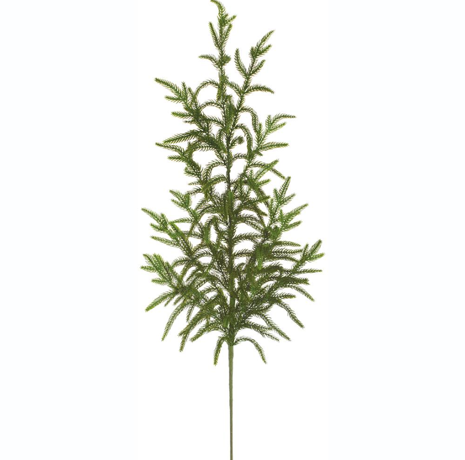 Cypress Spray - 13 Hub Lane   |  