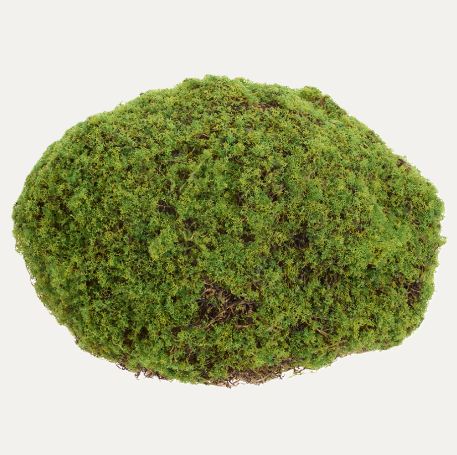 Moss Bun