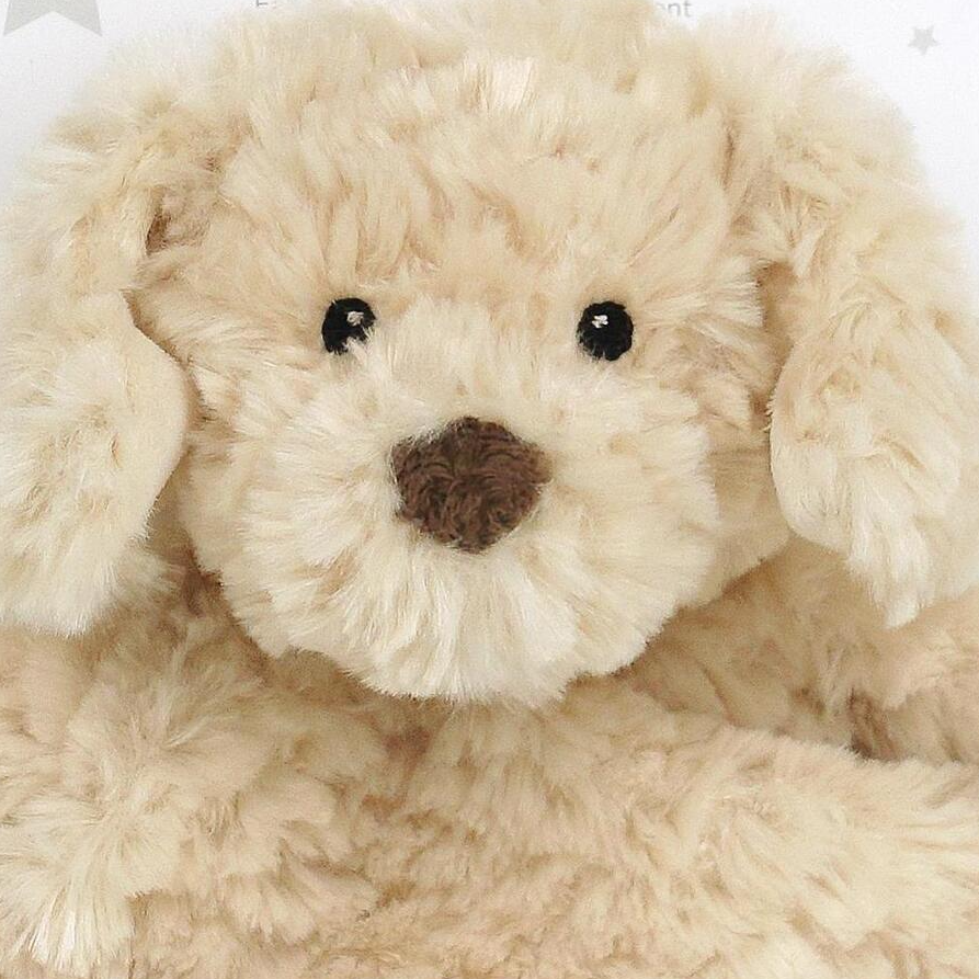 Bentley Golden Doodle - Cuddle Bud