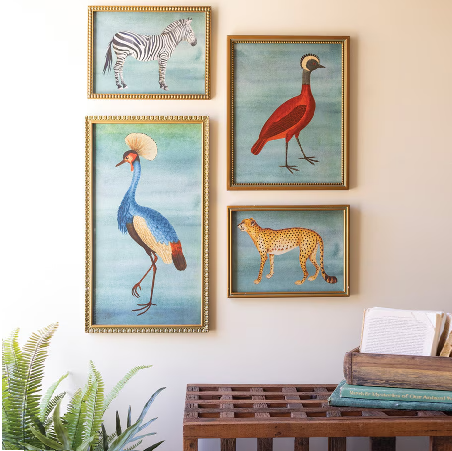 Framed Exotic Animal Print Under Glass - 13 Hub Lane   |  