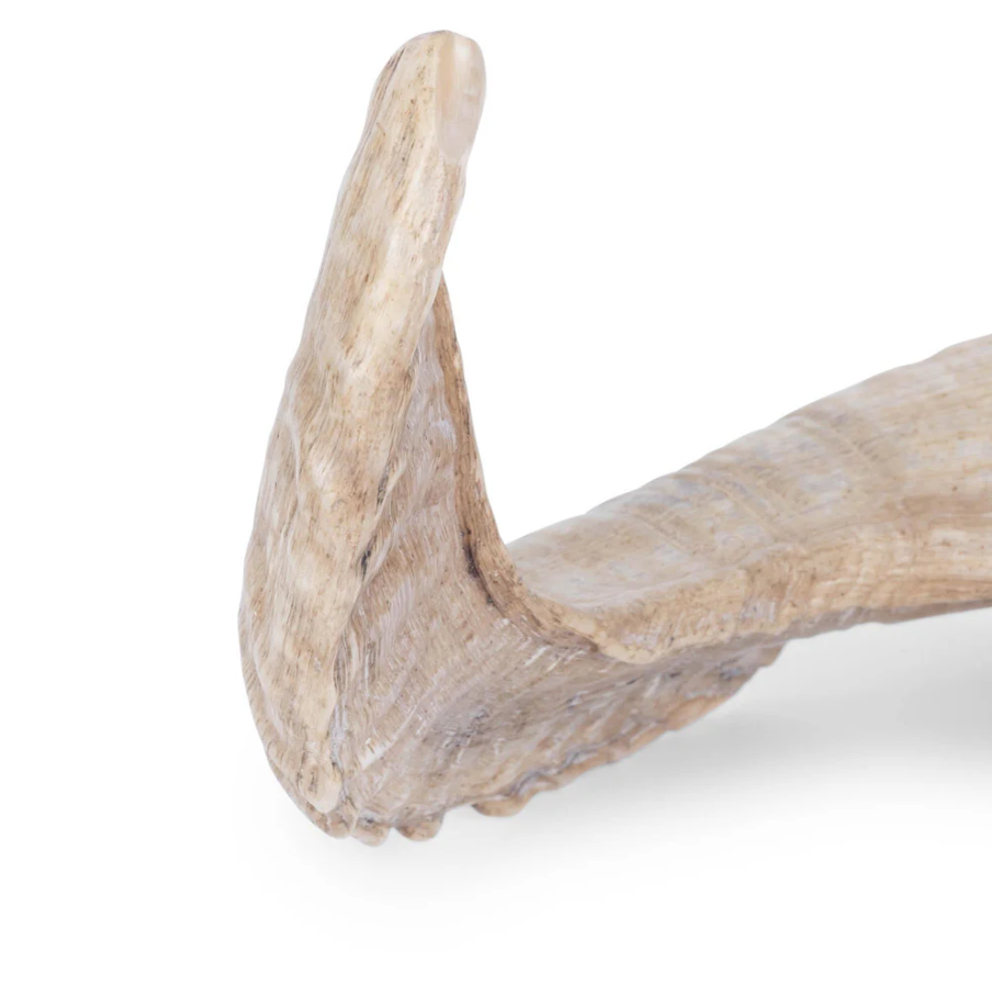 Ngala Trading Ram Horn - Thumbnail 5