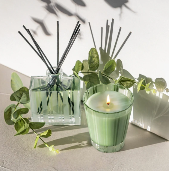 NEST Wild Mint & Eucalyptus Classic Candle