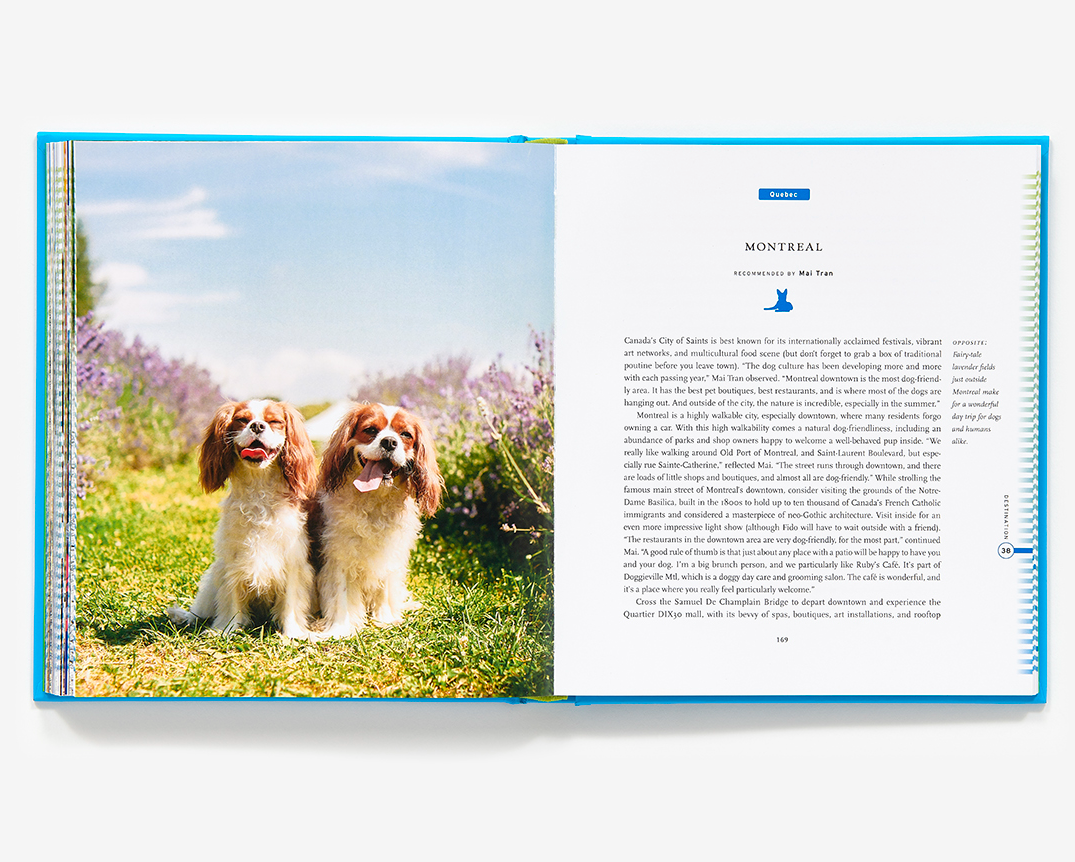 Fifty Places To Travel With Your Dog Before You Die