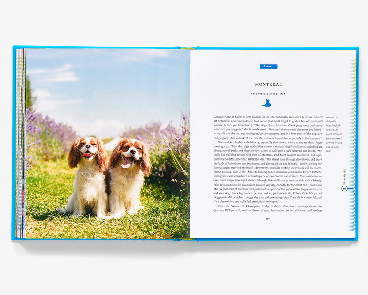 Fifty Places To Travel With Your Dog Before You Die