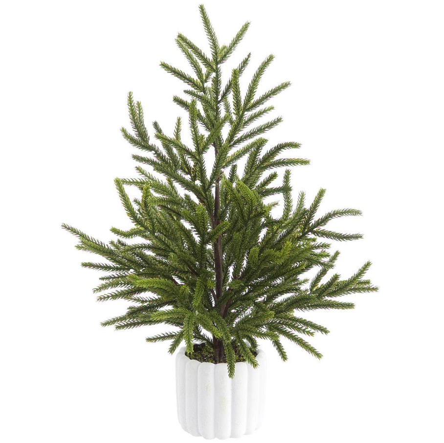 Cypress Tree in Cement Pot - 13 Hub Lane   |  Tabletop Trees