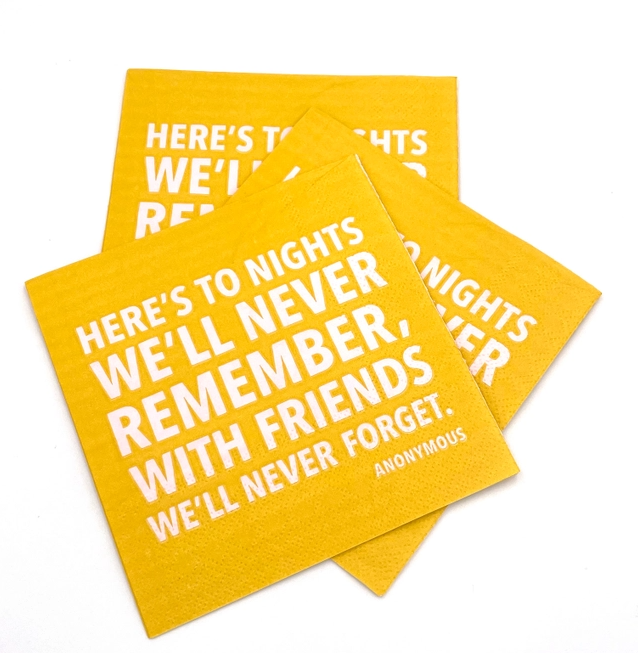 To Nights We'll Never Remember Cocktail Napkins - 13 Hub Lane   |  Funny Cocktail Napkins