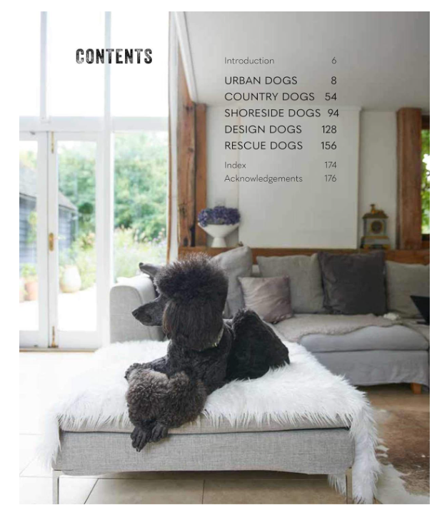 Cool Dogs, Cool Homes: Living in Style With Your Dog
