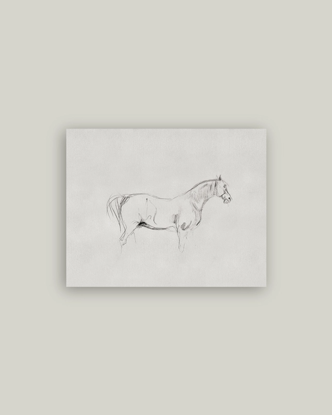 Horse Sketch Antique Artist Board