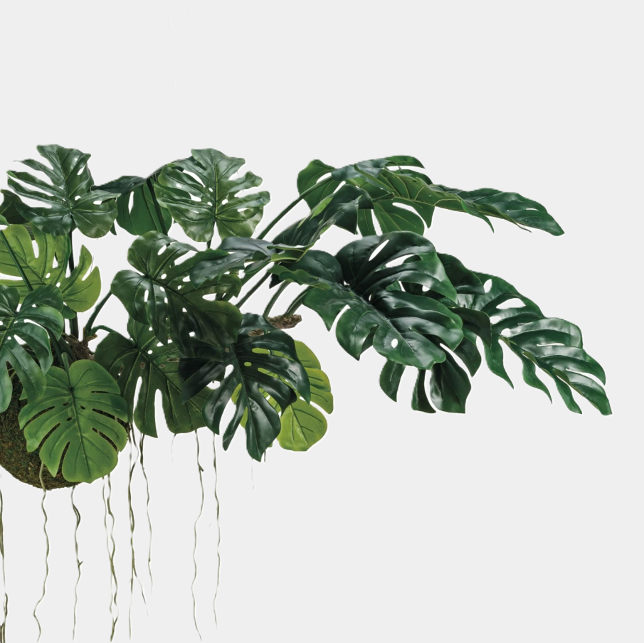 Hanging Faux Monstera Kokedama