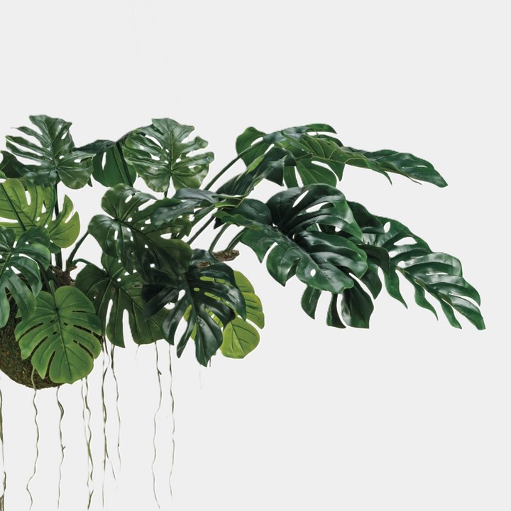 Hanging Faux Monstera Kokedama