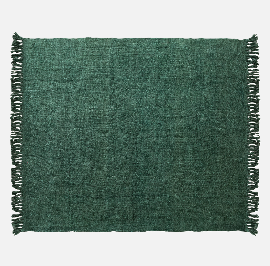 Woven Viscose Throw w/ Fringe