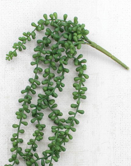 Artificial Necklace Fern Succulent - 13 Hub Lane   |  